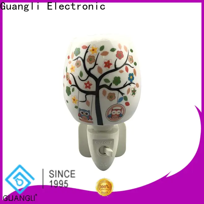 Guangli remote decorative plug in night lights manufacturers