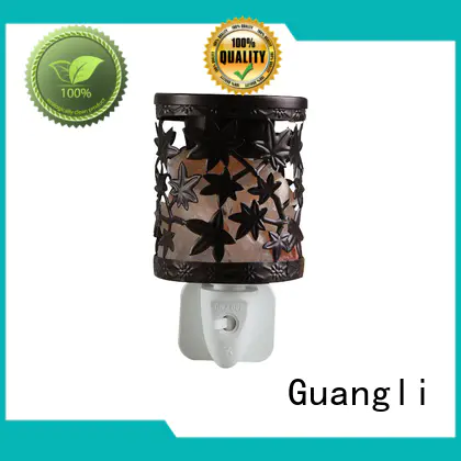 Guangli Best himalayan night light factory for Air Purifying