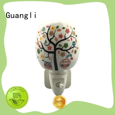 Guangli exquisite decorative plug in night lights with good price for living room