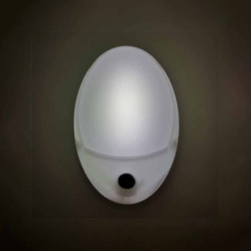 A58 sensor BS EU SAA USA plug in LED mini Dusk to Dawn night light for bedroom