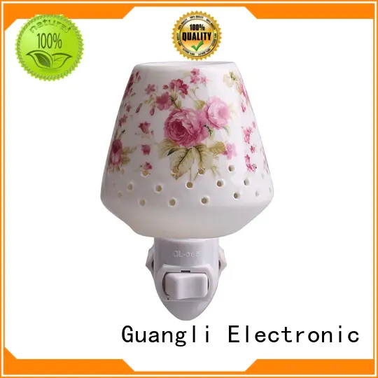 exquisite decorative plug in night lights wholesale for living room